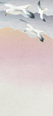 Store enrouleur Oiseaux en vol