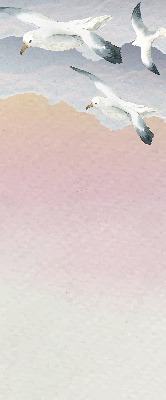 Store enrouleur Oiseaux en vol