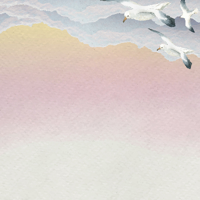 Store enrouleur Oiseaux en vol