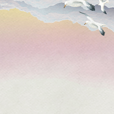 Store enrouleur Oiseaux en vol