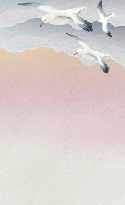 Store enrouleur Oiseaux en vol