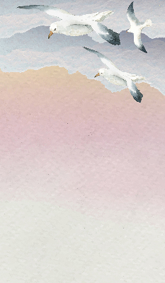 Store enrouleur Oiseaux en vol