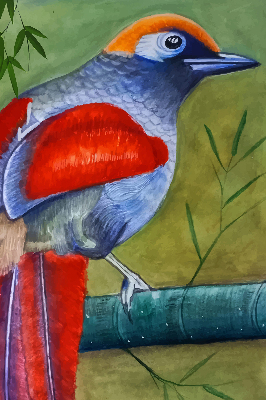 Store intérieur Un oiseau sur une branche