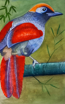 Store intérieur Un oiseau sur une branche