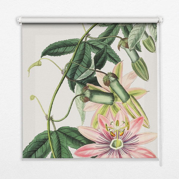 Store enrouleur Fleur rose