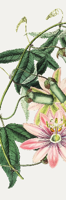Store enrouleur Fleur rose