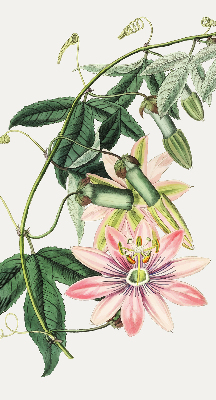 Store enrouleur Fleur rose