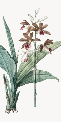 Store enrouleur Fleur