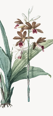 Store enrouleur Fleur