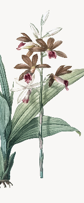 Store enrouleur Fleur