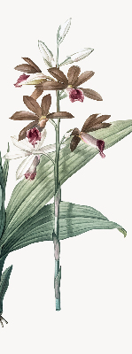 Store enrouleur Fleur