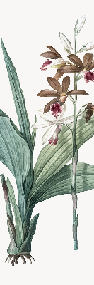 Store enrouleur Fleur