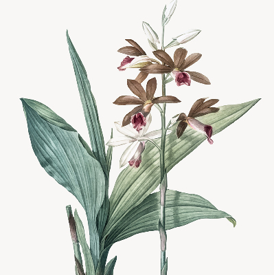 Store enrouleur Fleur