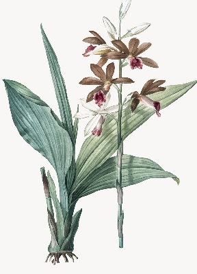 Store enrouleur Fleur