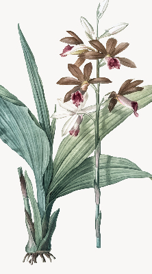 Store enrouleur Fleur