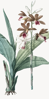 Store enrouleur Fleur