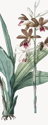 Store enrouleur Fleur