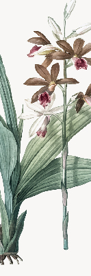 Store enrouleur Fleur