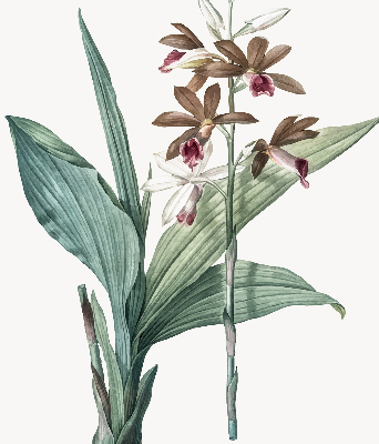 Store enrouleur Fleur