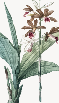 Store enrouleur Fleur