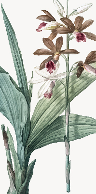 Store enrouleur Fleur