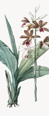 Store enrouleur Fleur