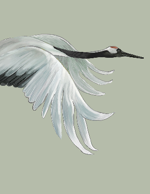 Store enrouleur Grue en vol