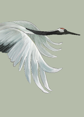 Store enrouleur Grue en vol