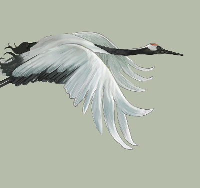 Store enrouleur Grue en vol