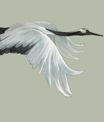 Store enrouleur Grue en vol