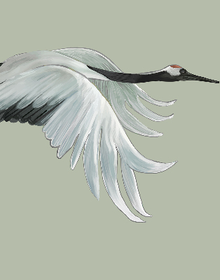 Store enrouleur Grue en vol