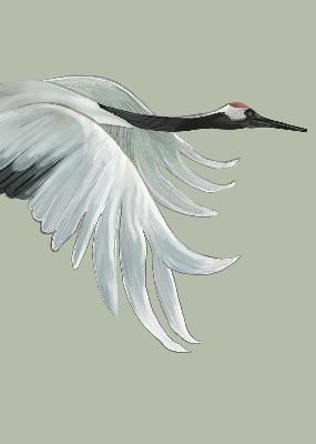 Store enrouleur Grue en vol