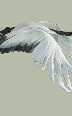 Store enrouleur Grue en vol