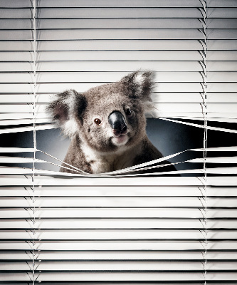 Store enrouleur Koala