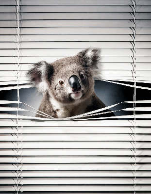 Store enrouleur Koala