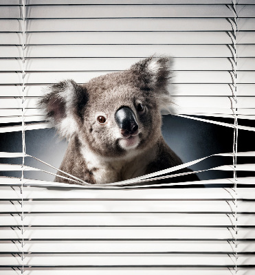 Store enrouleur Koala