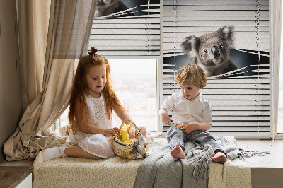 Store enrouleur Koala