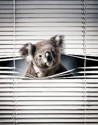 Store enrouleur Koala