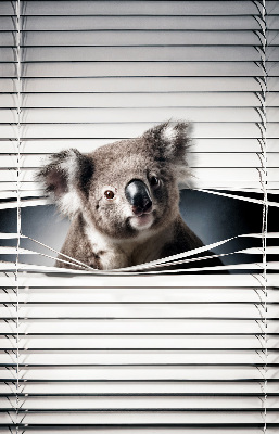 Store enrouleur Koala