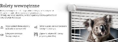 Store enrouleur Koala