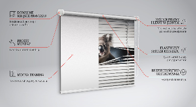 Store enrouleur Koala