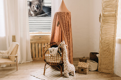 Store enrouleur Koala