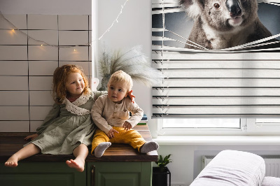 Store enrouleur Koala