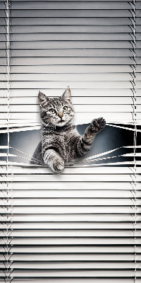 Store intérieur Chat