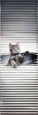 Store intérieur Chat