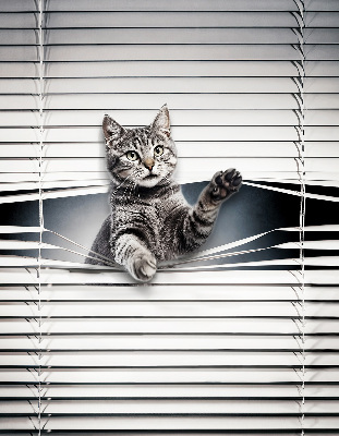 Store intérieur Chat