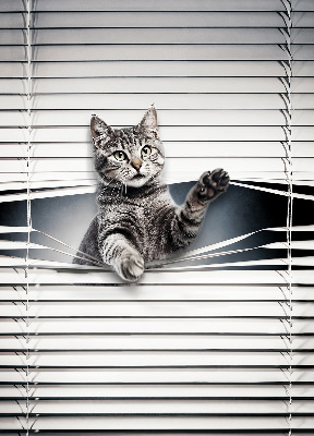 Store intérieur Chat