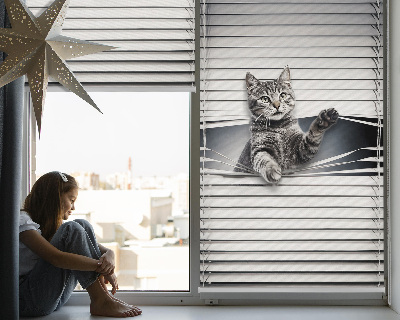 Store intérieur Chat