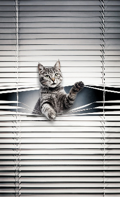 Store intérieur Chat