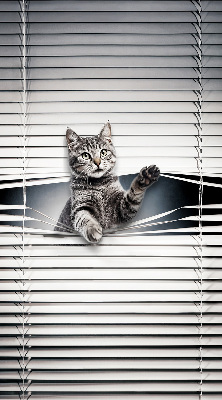 Store intérieur Chat